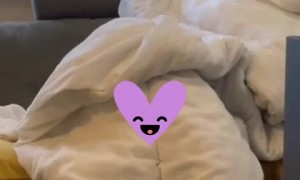 Kid has precious reaction when mom asks where she's hiding 