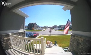Guy Checking Flag Mount Falls Down Stairs