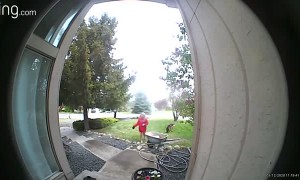 German Shepherd Yanks Sister to Ground