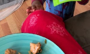 Kid Can't Quite Reach Real Good Food