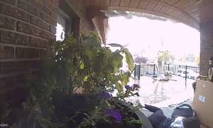 Girl Slips While Swatting at Snow