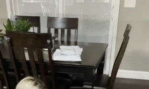 Boys Surprised by Dream Puppy