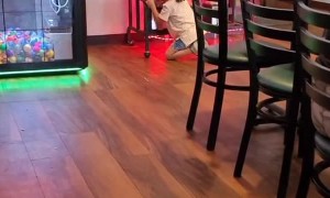 Little Girl Hacks Toy Machine