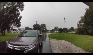 Lightning Shocks Nearby Tree