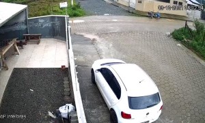 Dog Doesn't Brake and Crashes into Gate