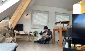 Clever Doggy Shows Complete Trust