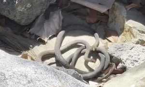 Argument Keeps Going Around in Circles