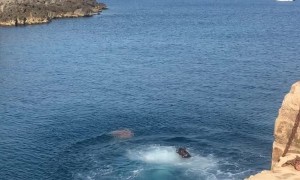 Dog Cliff Dives into Water