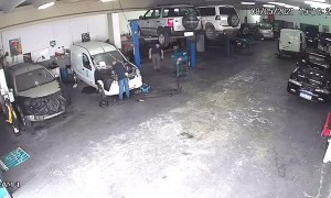 Mechanic Picks Up Chased Pet