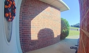 Kiddo Gets Spooked by Halloween Decoration