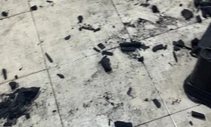 Doggo Hides in Corner After Scattering Coal