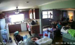 Cat Takes a Tumble From Fridge