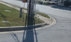 Massive Wheel of Wire Rolls Away