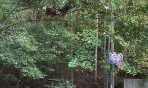 Kitty Saved But Savior Slips