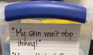 Medicine Cabinet Organized by Symptoms