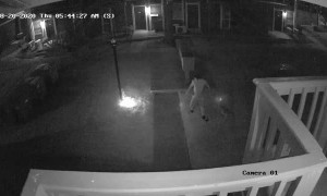 Electrical Short Lights up Doggy’s Bathroom Break