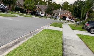 'Ghost' Haunts Florida Neighborhood