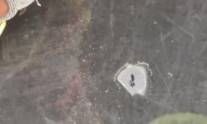 Man Saves Fish...Kind Of