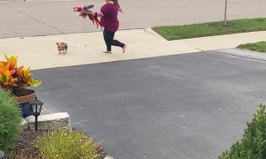 Helping a Disabled Macaw to Feel Like It’s Flying