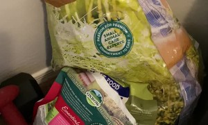 Waffles the Bunny Helps Herself to Dinner