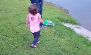Little Girl Encounters Turtle