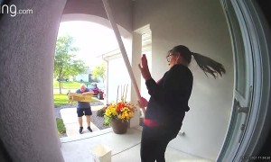 Catching a Bat Ends in Backwards Tumble