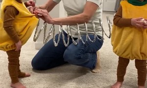 Twin Toddlers Dress Up as Slinky Dog for Halloween