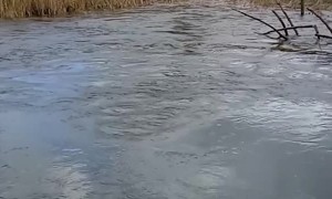 Pumpkin Sucked into Whirlpool Pops Out Other Side