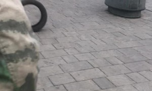 Tire Rolls Down Russian Hill