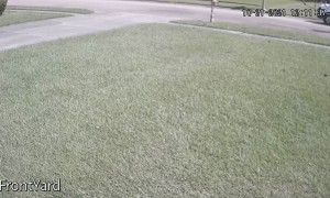 Delivery Guy Lets Package Fly