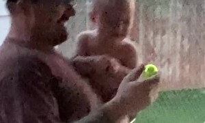 Baby Giggles at Golf Ball