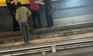 Man Falls Onto Tracks at Penn Station