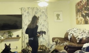 Adding the Newest Member to the Pack of 30