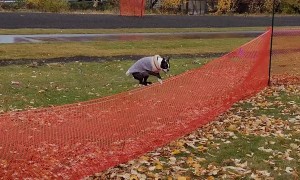 Waldo the Boston Terrier Has Mad Hops
