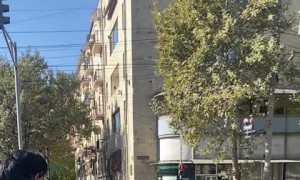 Good Dog Waits To Cross Street