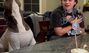 Happy pup joins family in singing 