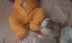 Baby Kicks Don't Bother Sleeping Dog