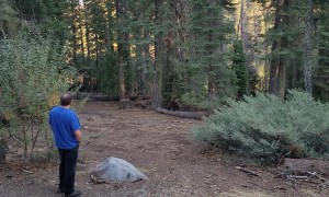 Man Attempts To Scare Bear From Campsite