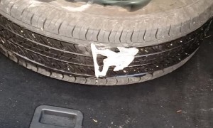 Sasquatch Flattens Car Tire