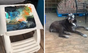 Super talented dog paints a masterpiece with peanut butter