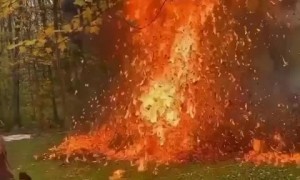 Insane slow-motion footage of leaves catching on fire