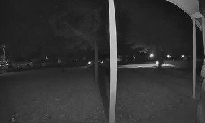 Mom Carrying Toddler Steals Bowl of Candy