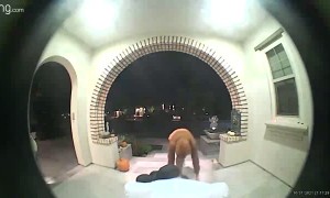 Candy Thief Gets Tripped up by Karma