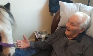 Granddads Heartwarming Surprise on his 96th Birthday