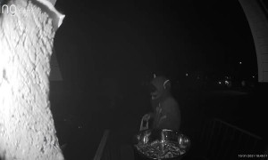 Boy Can't Resist King Size Reece's Bars