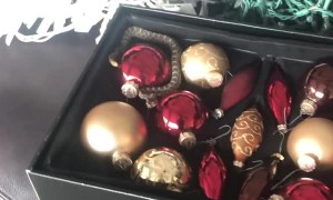 Close Call with Baby Rattlesnake Found in Christmas Decorations