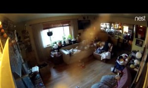 Driver Plows Through Yard and into the Corner of the House