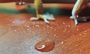 Когда нервов больше нет ????