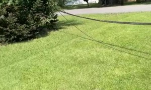 The Mishaps of a Guy Working for a Moving Company