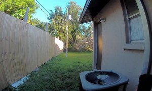 Fight Follows Strangers Into Backyard